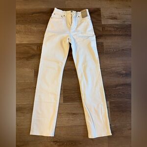 Madewell 90s straight leg jean canvas wash